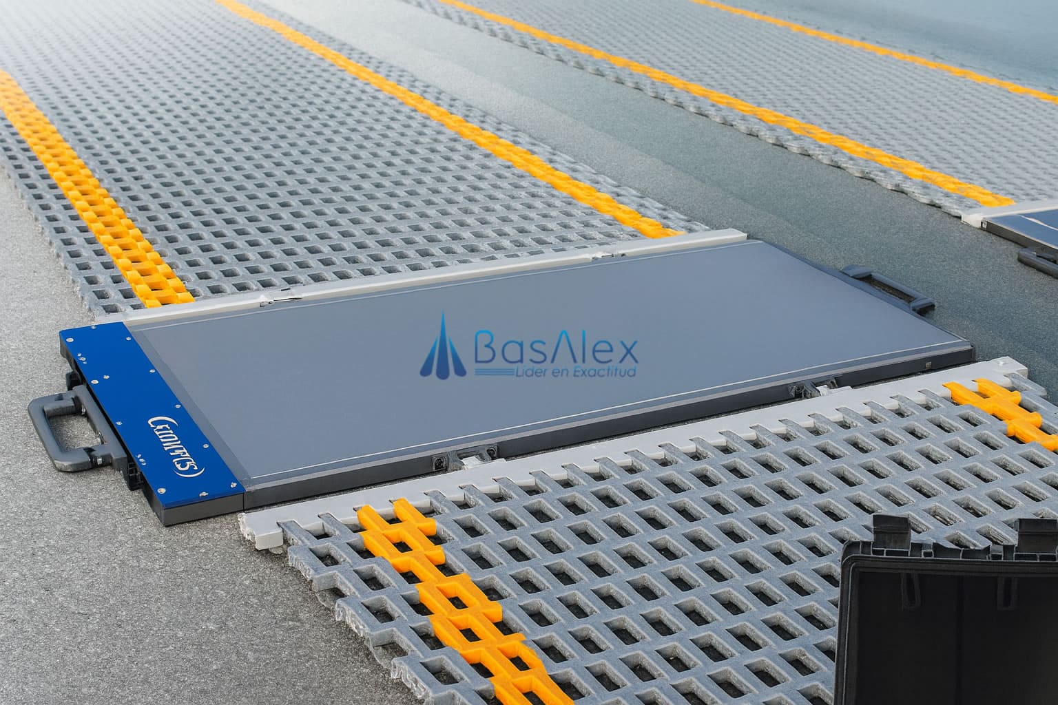 basalex bascula pesa ejes